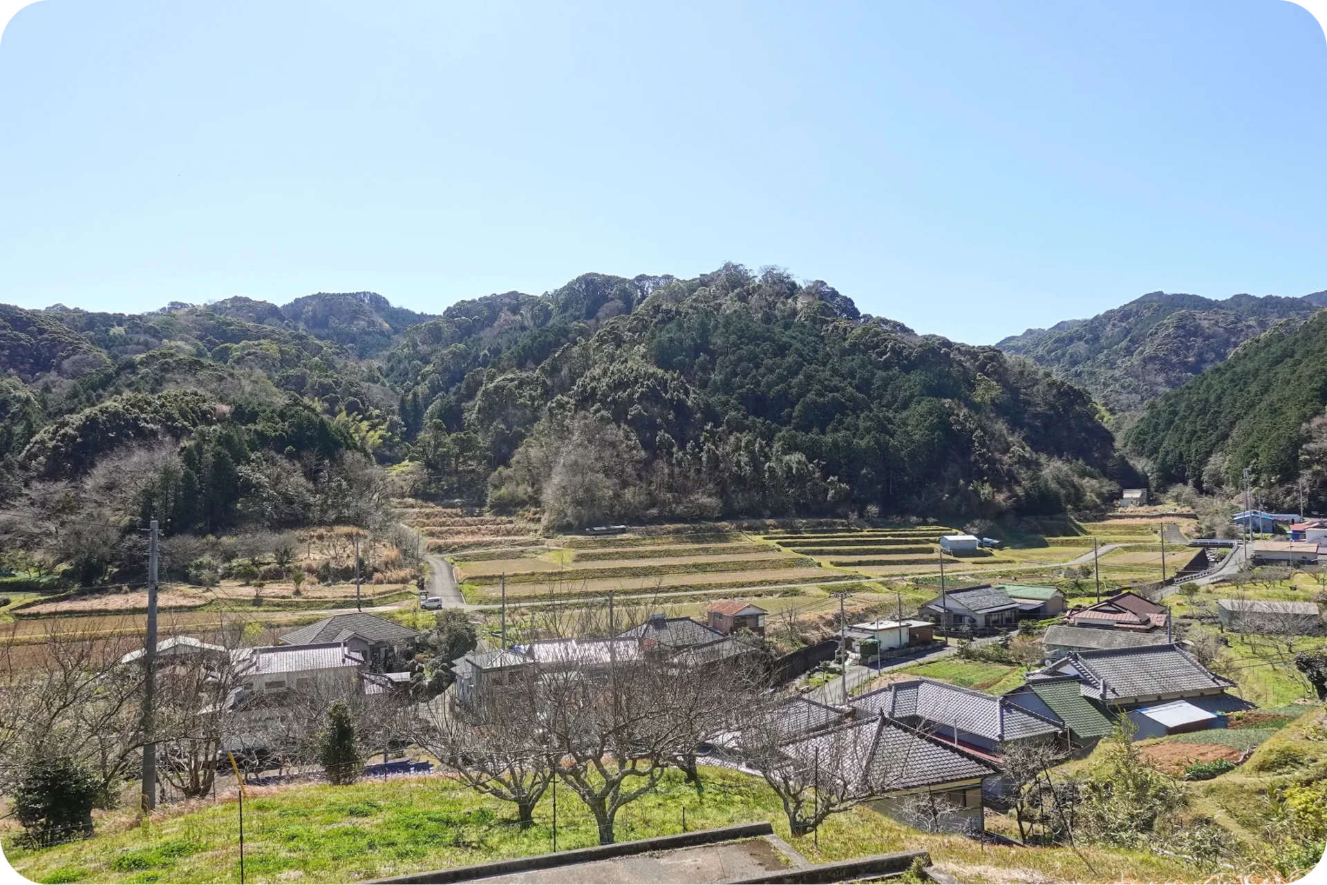 地域密着で安心サポート